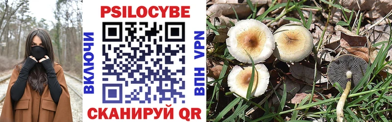 купить сайты Печора Псилоцибиновые грибы ЛСД