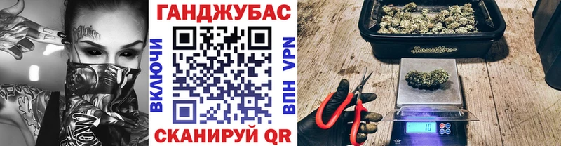 Канабис гибрид  Печора 